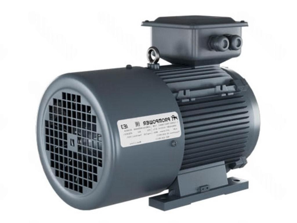 Электродвигатель 1LE9003-2AA43-3AA4 PROMPOWER